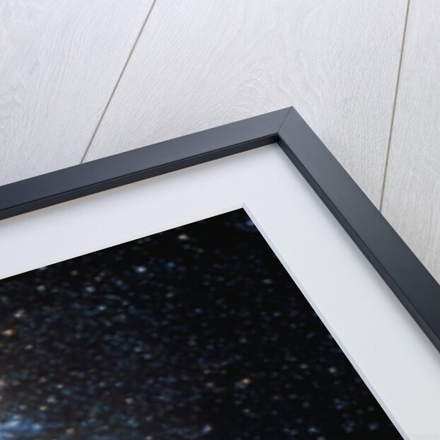 Tarantula Nebula by Anonymous