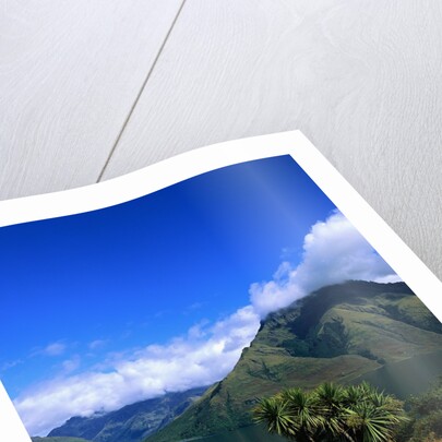 Lake Wakatipu and Mount Hector by Anonymous