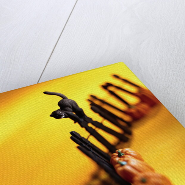 Black Cat on Fence by Anonymous