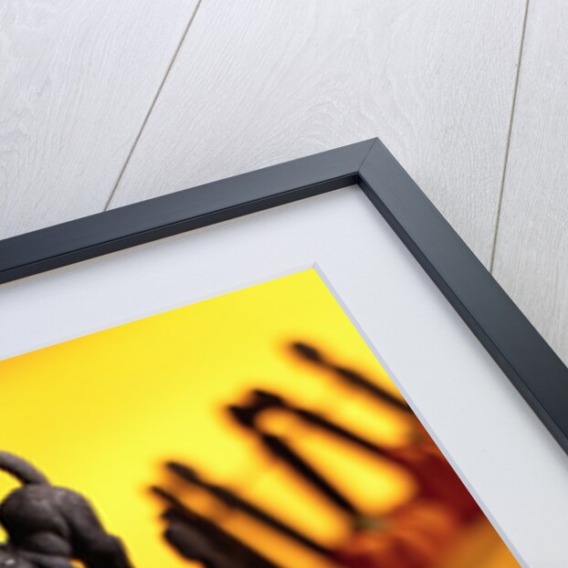 Black Cat on Fence by Anonymous