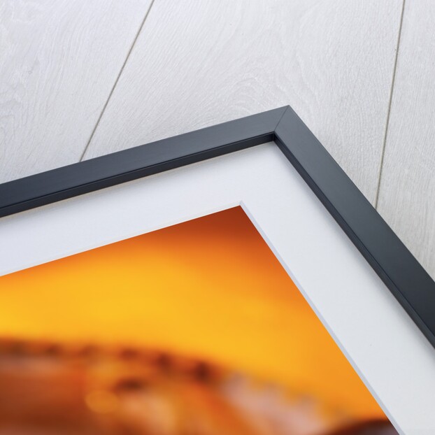 Maracas and Sombrero by Anonymous