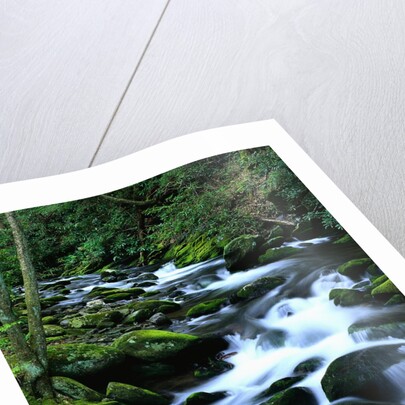 River Cascading Down Moss-Covered Rocks by Anonymous