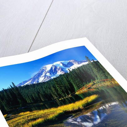 Mount Rainier and Reflection Lakes by Anonymous