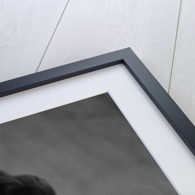 Boxer Puppy by Anonymous