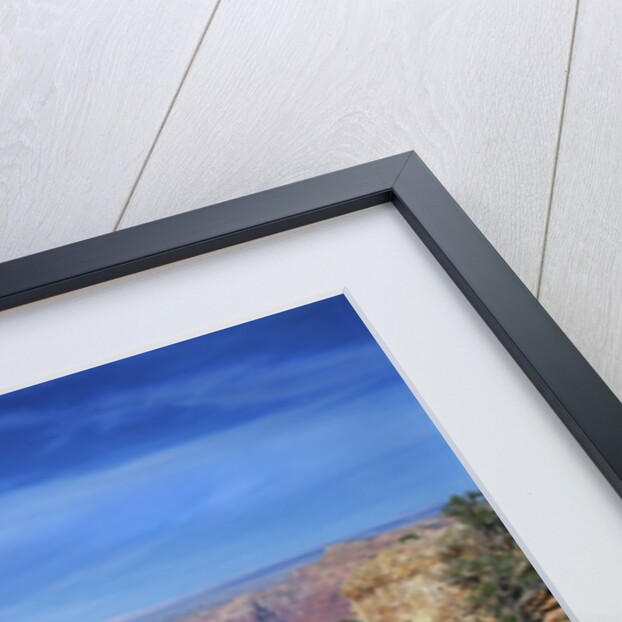 Grand Canyon from Lipan Point by Anonymous