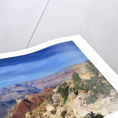 Grand Canyon from Lipan Point by Anonymous