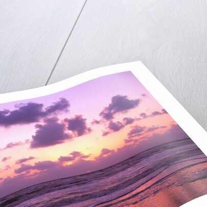 Beach at Twilight by Anonymous