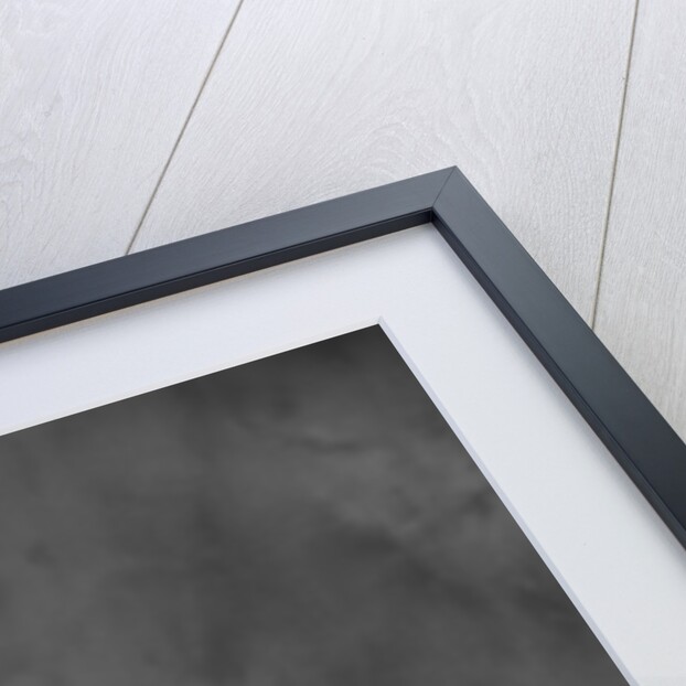 Bulldog by Anonymous