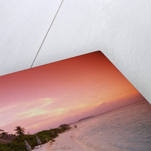 Tropical Beach at Sunset by Anonymous