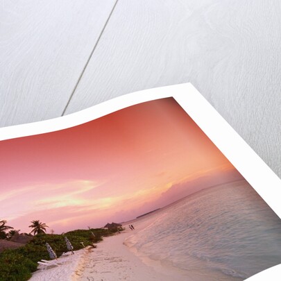 Tropical Beach at Sunset by Anonymous