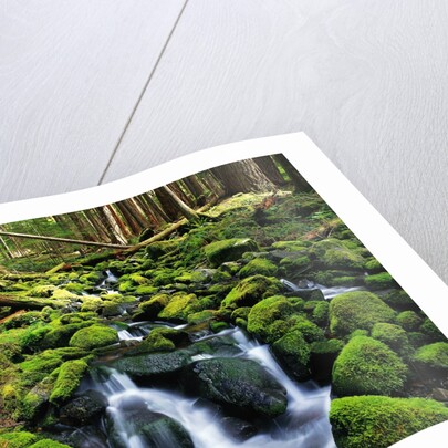 River Winding Between Mossy Rocks by Anonymous