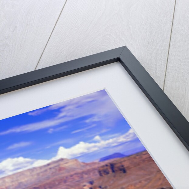 Colorado River in Grand Canyon by Anonymous