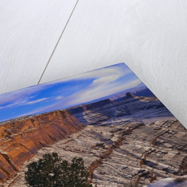 Snowy Canyon from Dead Horse Point by Anonymous