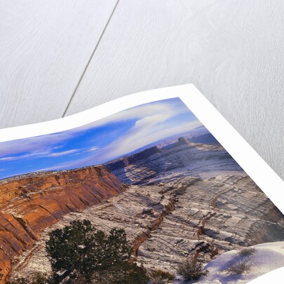Snowy Canyon from Dead Horse Point by Anonymous