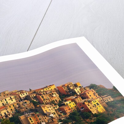 Village of Corniglia on the Italian Riviera by Anonymous