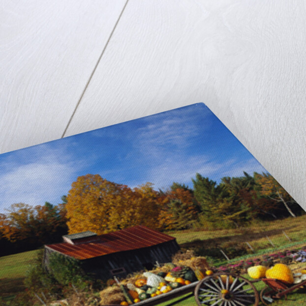 Pumpkins at Produce Stand by Anonymous