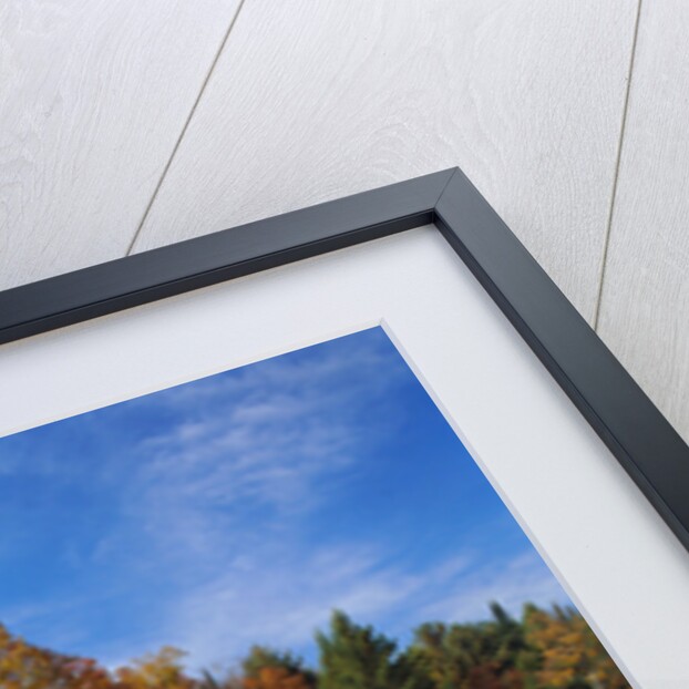 Pumpkins at Produce Stand by Anonymous