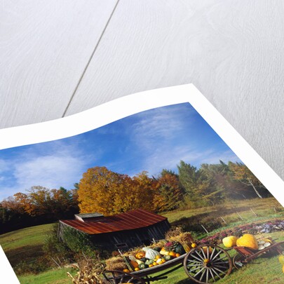 Pumpkins at Produce Stand by Anonymous
