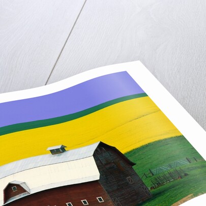 Rape Field and Barn by Anonymous