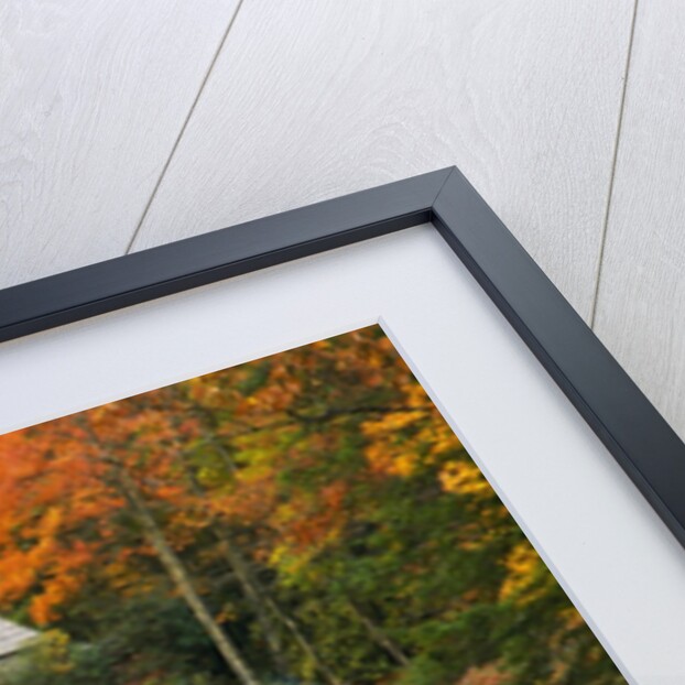 Glade Creek Grist Mill by Anonymous