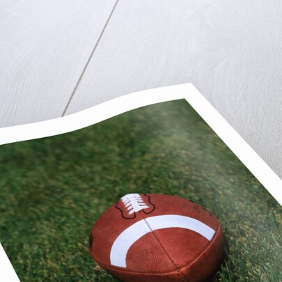 Football on the Grass by Anonymous