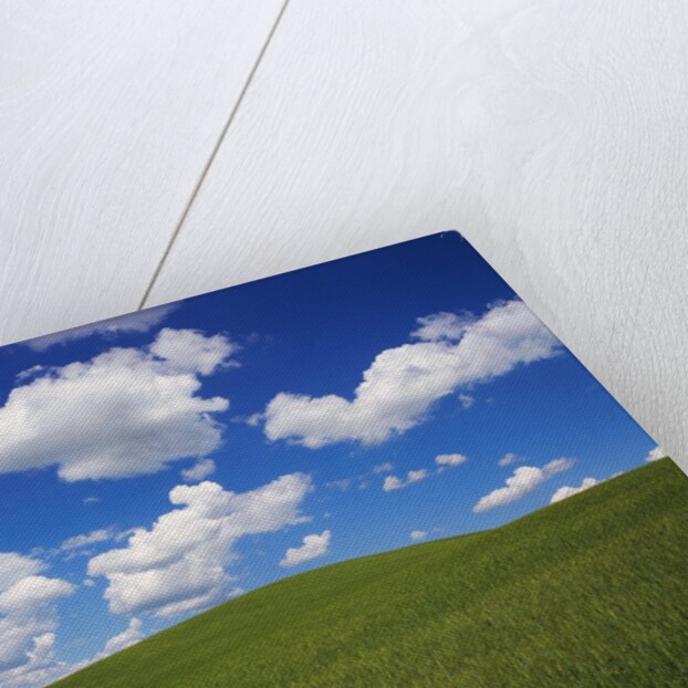 Field of Green under Scattered Clouds by Anonymous