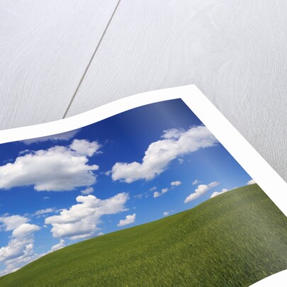 Field of Green under Scattered Clouds by Anonymous