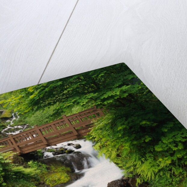 Bridge over Waterfall by Anonymous
