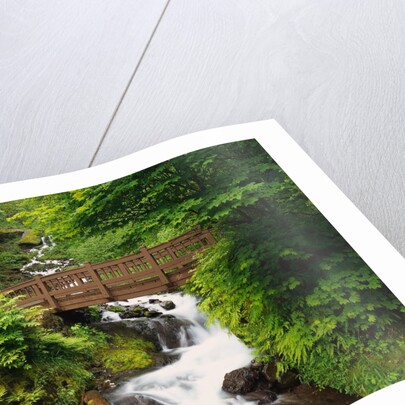 Bridge over Waterfall by Anonymous