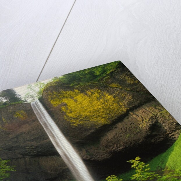 Latourell Falls by Anonymous