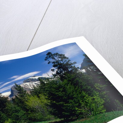 Road Through Glacier National Park by Anonymous