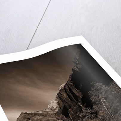A Road in Zion National Park by Anonymous