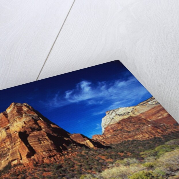 Butte in Zion National Park by Anonymous