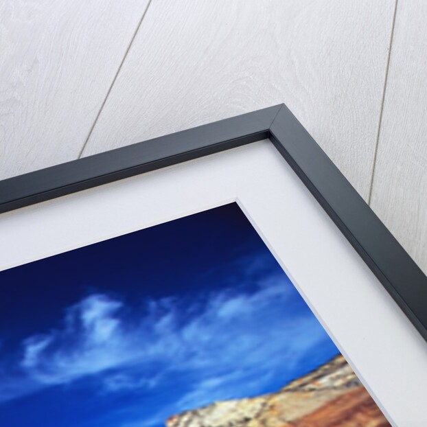 Butte in Zion National Park by Anonymous