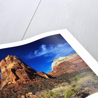 Butte in Zion National Park by Anonymous