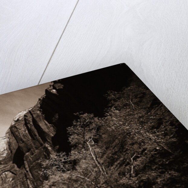 A Road in Zion National Park by Anonymous