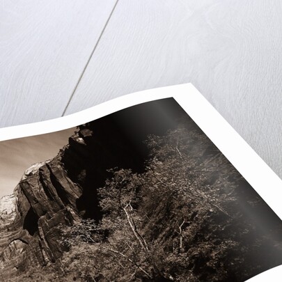 A Road in Zion National Park by Anonymous