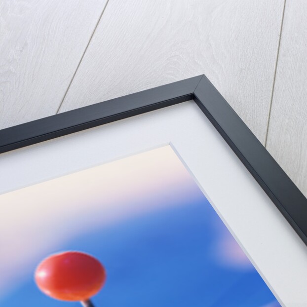 Mexico City Marked on a Map by Anonymous