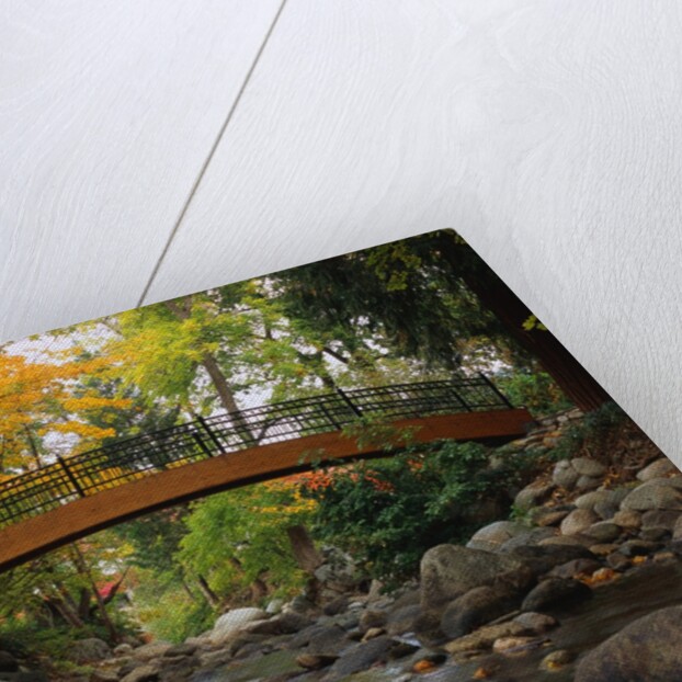 Footbridge over Stream by Anonymous