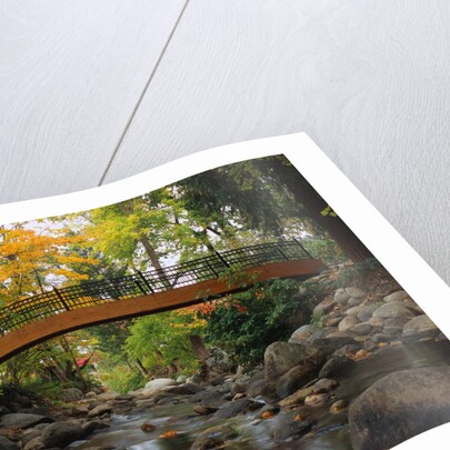 Footbridge over Stream by Anonymous