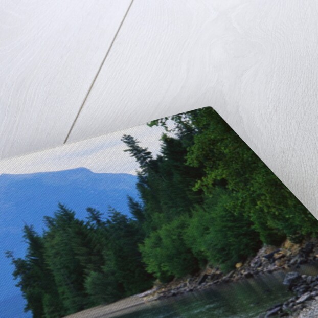 Mountains and Lake McDonald Shoreline by Anonymous