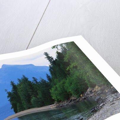 Mountains and Lake McDonald Shoreline by Anonymous