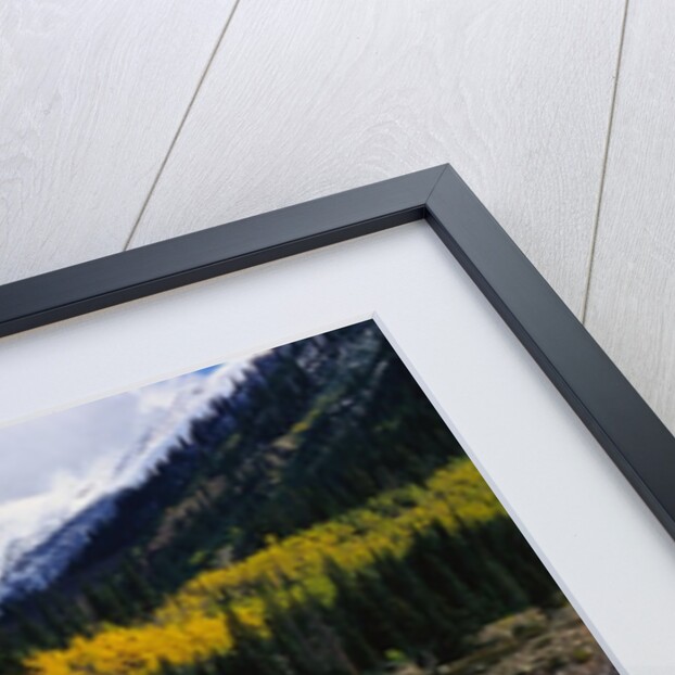 Autumn Trees on Mountain Lake by Anonymous