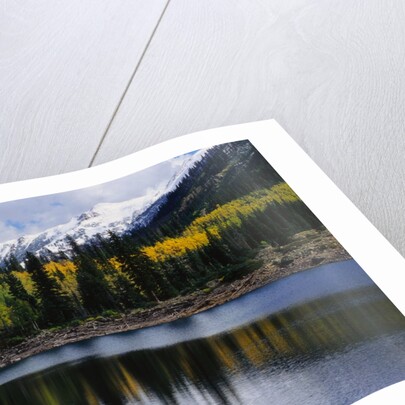 Autumn Trees on Mountain Lake by Anonymous
