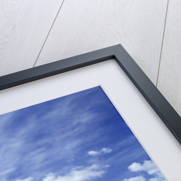 San Xavier del Bac Mission by Anonymous