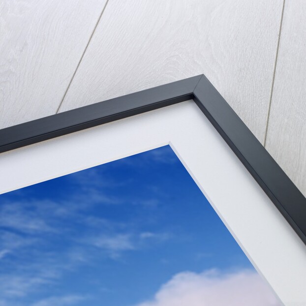 Rocky Landscape and Mountains by Anonymous