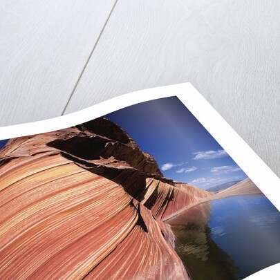 Water at Coyote Buttes by Anonymous