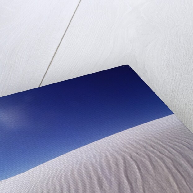 Sun Shining on Desert Sand by Anonymous