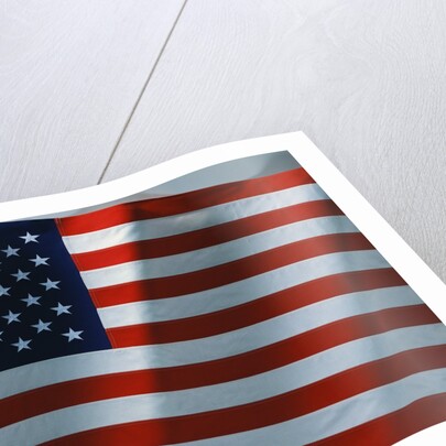 American Flag by Anonymous