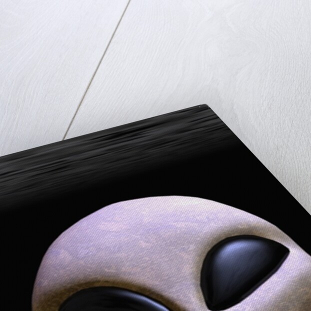 Face of an Extraterrestrial Alien by Anonymous